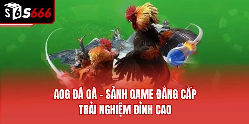 AOG Đá Gà - Sảnh Game Đẳng Cấp, Trải Nghiệm Đỉnh Cao
