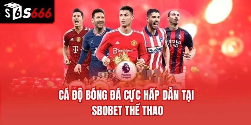 Cá độ bóng đá cực hấp dẫn tại Sbobet thể thao