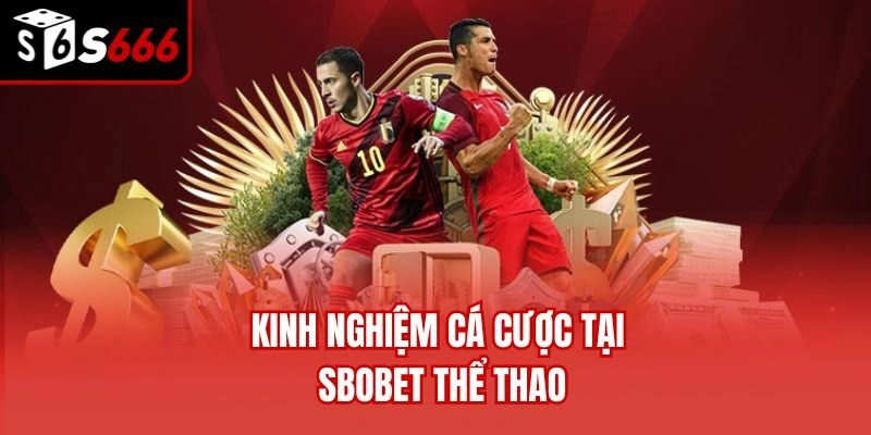 Kinh nghiệm cá cược tại Sbobet thể thao