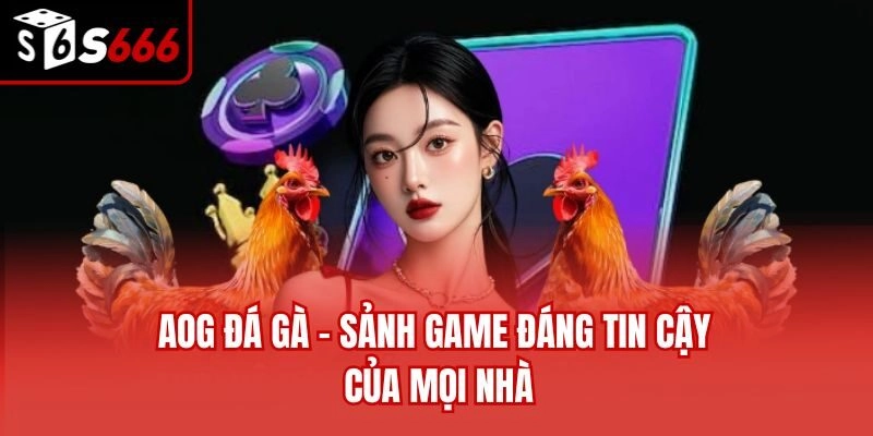 AOG đá gà - Sảnh game đáng tin cậy của mọi nhà