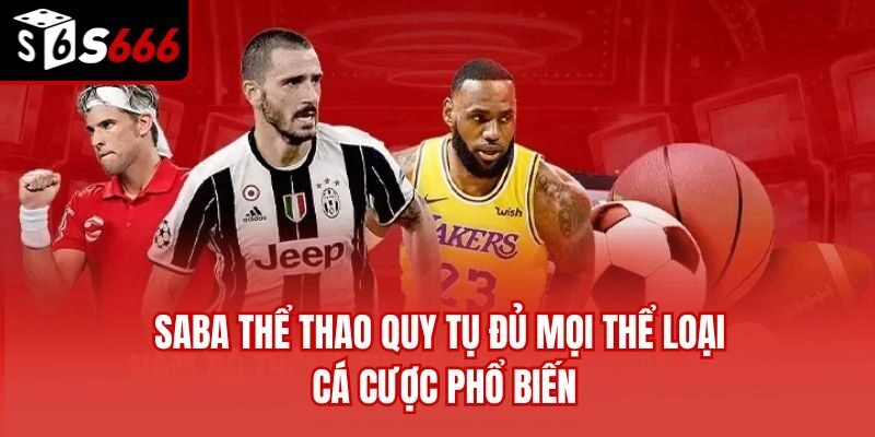 Saba thể thao quy tụ đủ mọi thể loại cá cược phổ biến